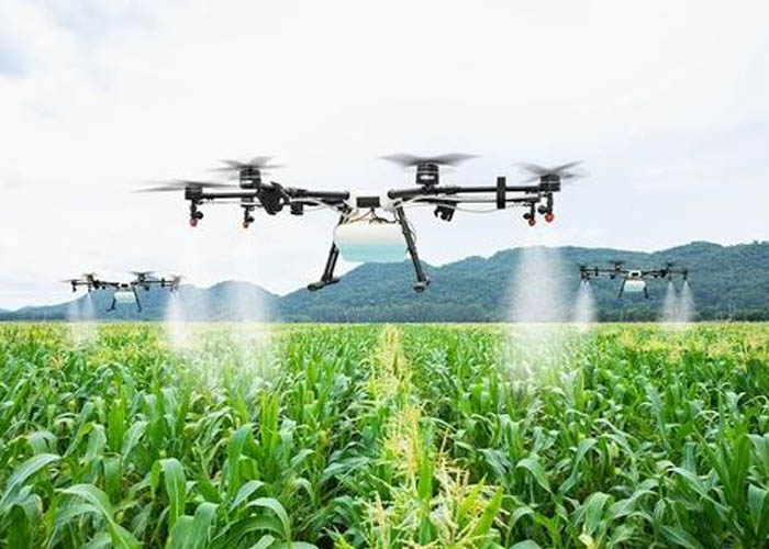 Agriculture